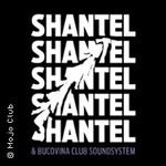 Shantel & Bucovina Club Soundsystem - Partizani Super Sonic Live Tour