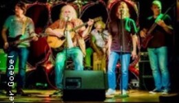 Steve Mandel Band - Rock Classics