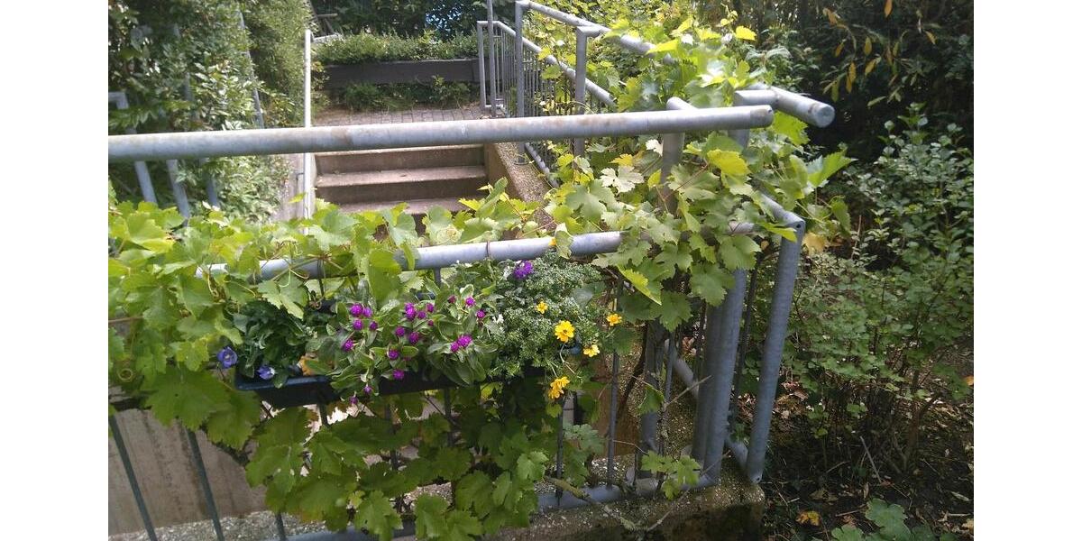 Erdgeschoßwohnung Aachen Aachen-Mitte - 3 Zimmer, 80 m&sup2;, 1.400&euro; | Angebot:27618389